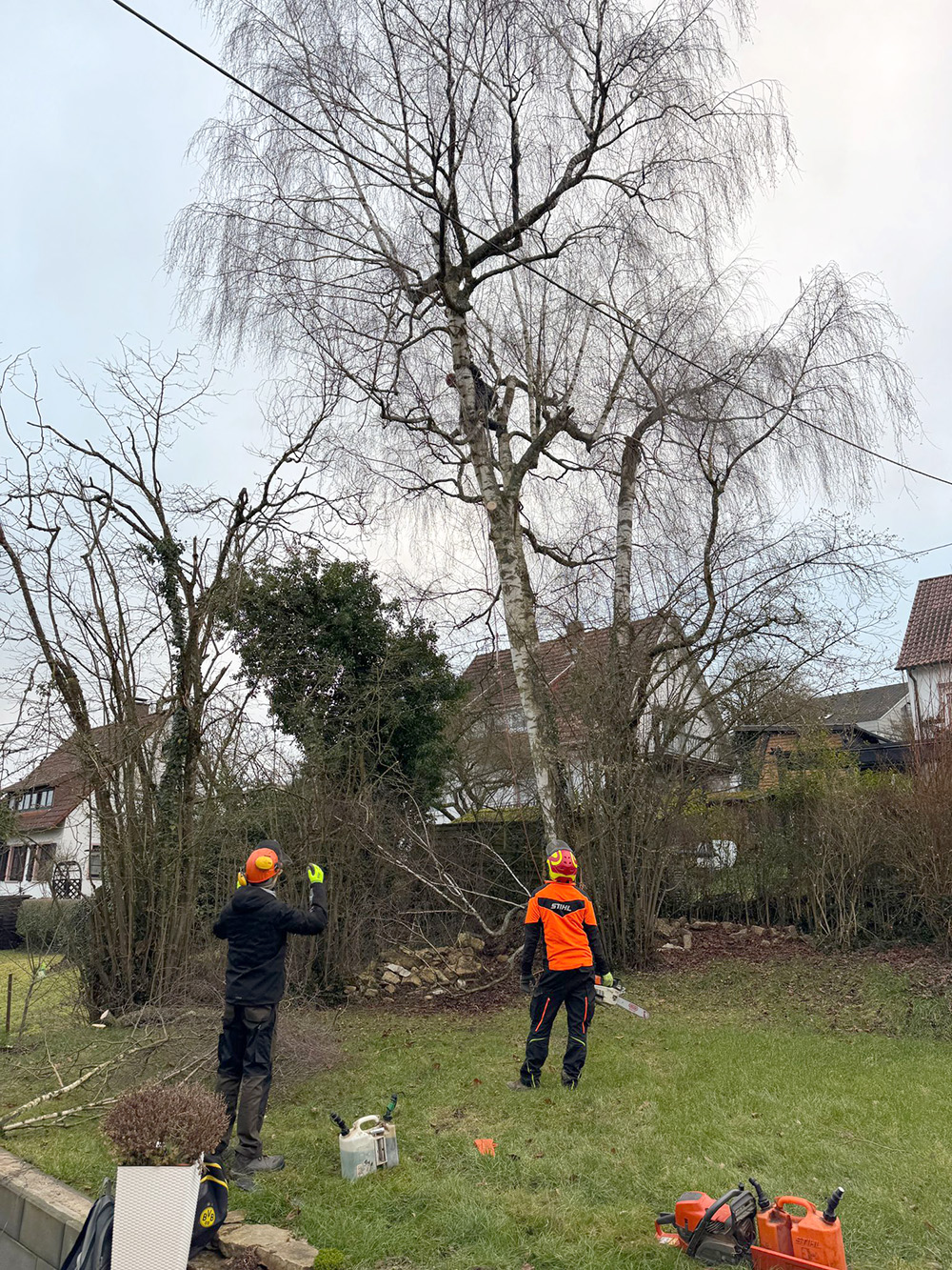Baumfällung mit Baumpflege Brestel Baumfällung mit Baumpflege Brestel